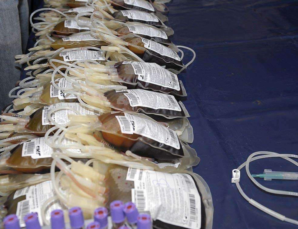 Davanje krvi, krv News1 Dado Djilas